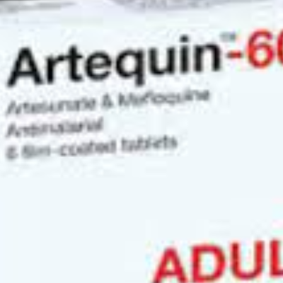 Artéquin Adulte